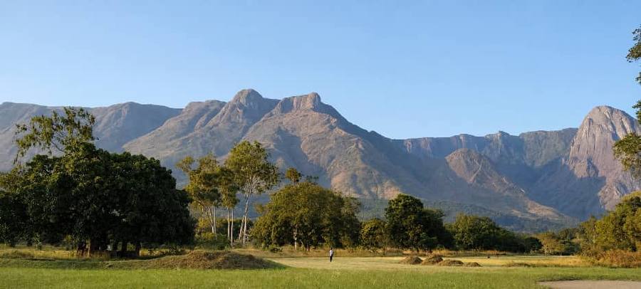 The Mulanje massif seen from Likhubula at the foot of the mountain, across open grass and trees in morning light.