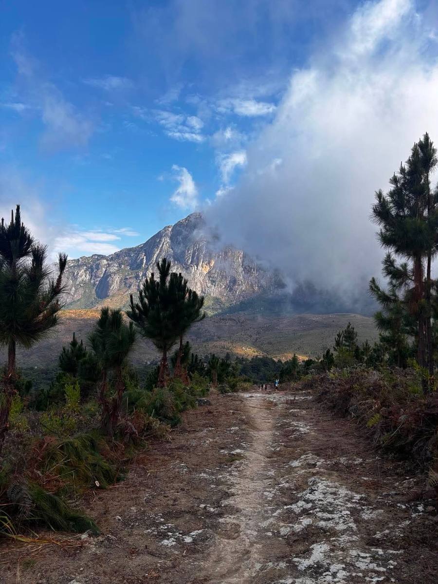 A dirt trail leads towards a steep granite peak on Mount Mulanje, with cloud spilling over the ridge and young pines on either side.
